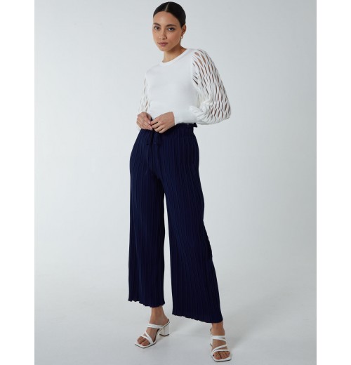 Wide Leg Pleated Trousers